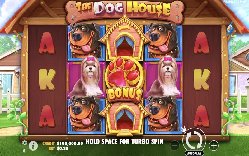 The Dog House